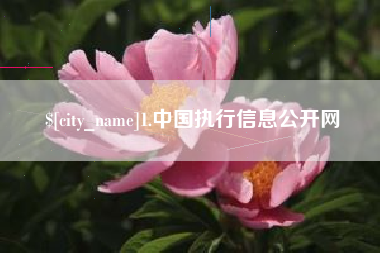 启东1.中国执行信息公开网