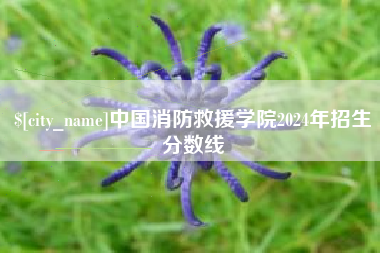 启东中国消防救援学院2024年招生分数线