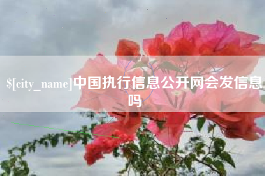 启东中国执行信息公开网会发信息吗