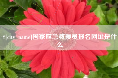 启东国家应急救援员报名网址是什么