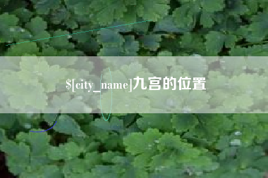 启东九宫的位置