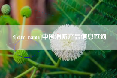 启东中国消防产品信息查询