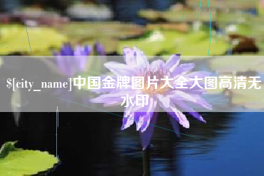 启东中国金牌图片大全大图高清无水印