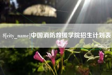 启东中国消防救援学院招生计划表