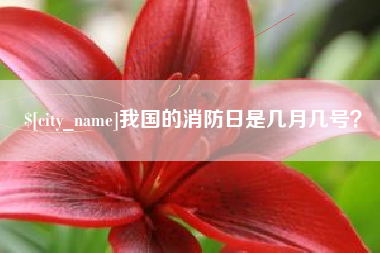 启东我国的消防日是几月几号？