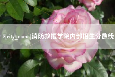 启东消防救援学院内部招生分数线
