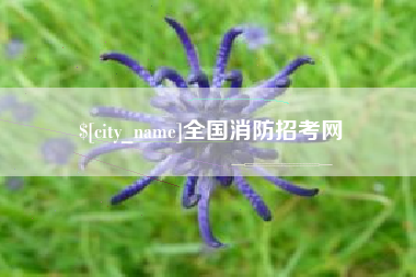 启东全国消防招考网