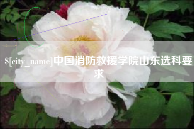 启东中国消防救援学院山东选科要求