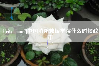 启东中国消防救援学院什么时候政审