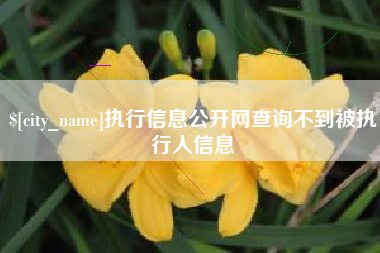 启东执行信息公开网查询不到被执行人信息
