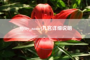 启东九宫详细说明