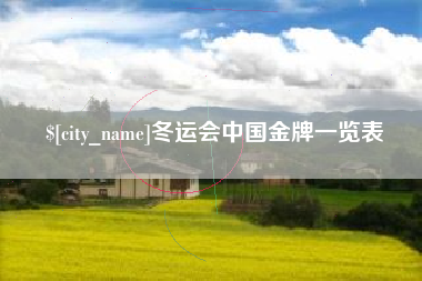 启东冬运会中国金牌一览表