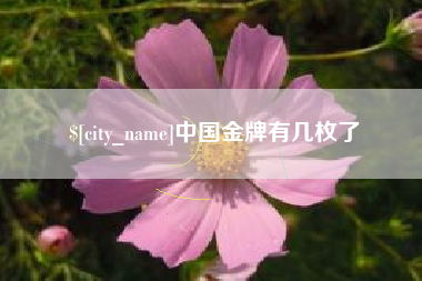 启东中国金牌有几枚了