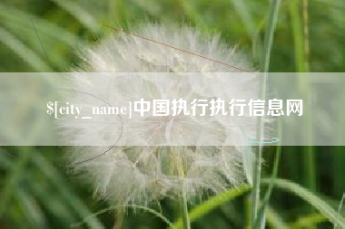 启东中国执行执行信息网