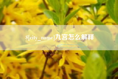 启东九宫怎么解释