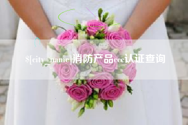 启东消防产品ccc认证查询