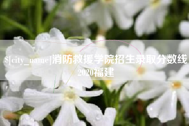 启东消防救援学院招生录取分数线2020福建