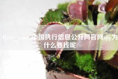 启东中国执行信息公开网官网app为什么要钱呢