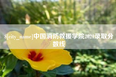 启东中国消防救援学院2021录取分数线
