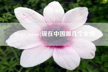 启东现在中国哪几个金牌