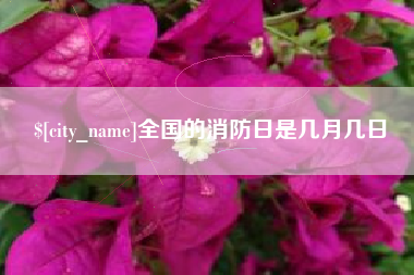 启东全国的消防日是几月几日