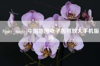 启东中国地图电子版可放大手机版吗