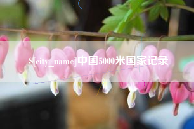 启东中国5000米国家记录