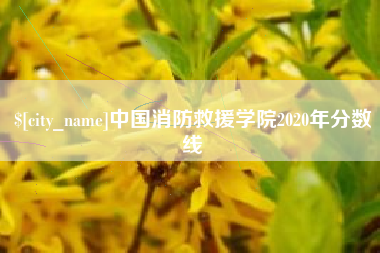 启东中国消防救援学院2020年分数线