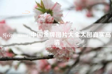 启东中国金牌图片大全大图真实高清