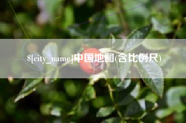 启东中国地图(含比例尺)