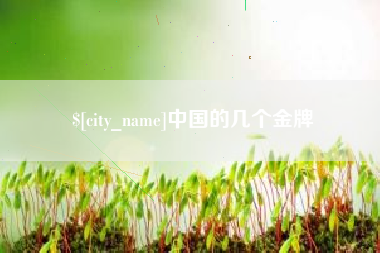 启东中国的几个金牌