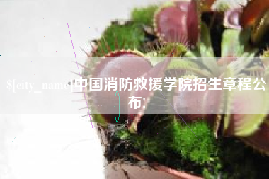 启东中国消防救援学院招生章程公布!