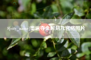 启东奥运夺金时刻九宫格图片