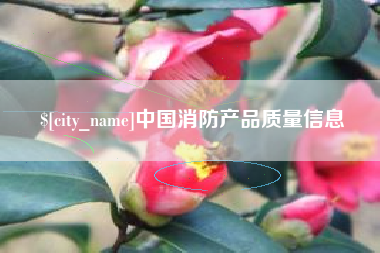 启东中国消防产品质量信息