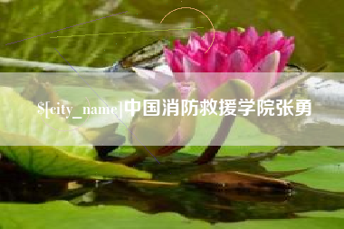 启东中国消防救援学院张勇