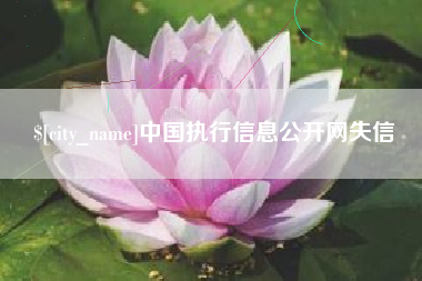 启东中国执行信息公开网失信