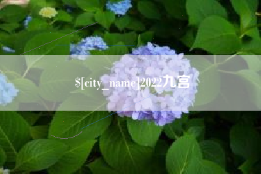 启东2022九宫