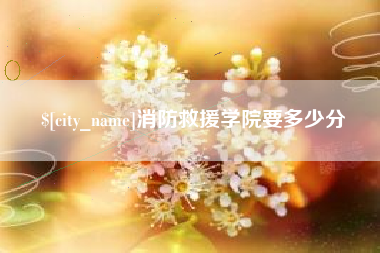 启东消防救援学院要多少分