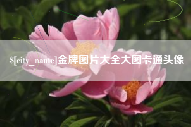启东金牌图片大全大图卡通头像
