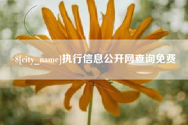 启东执行信息公开网查询免费