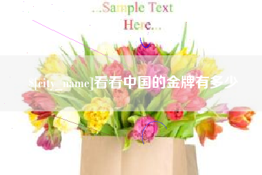 启东看看中国的金牌有多少